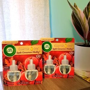 Air Wick Essential Oils Refill Apple Cinnamon Medley (2)
